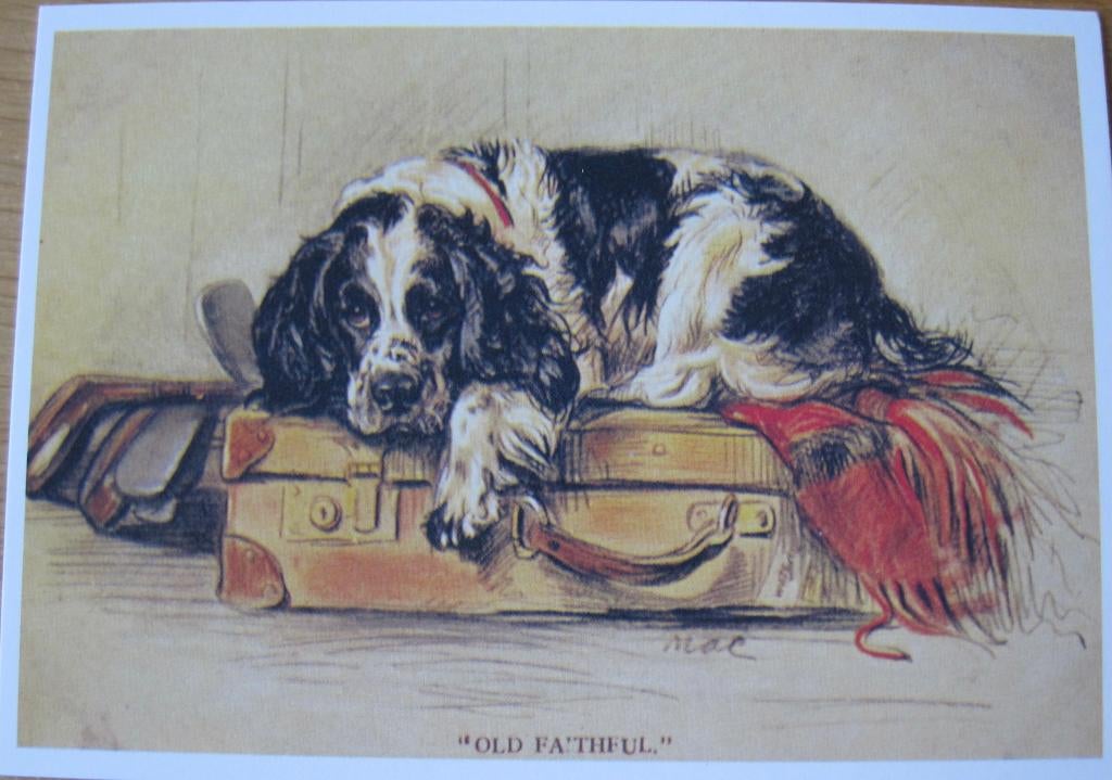 honden illustratie van Lucy Dawson - Mac - old faithful, Verzenden, 1980 tot heden, Ongelopen, Hond of Kat