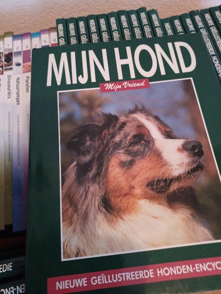 Boeken  hondenrassen , natuur  Boeken, Ophalen of Verzenden, Zo goed als nieuw, Overige diersoorten