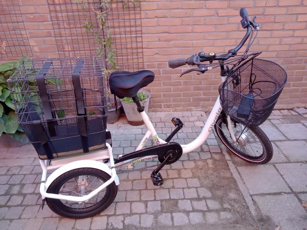driewielfiets electrisch, Ophalen, Zo goed als nieuw, Overige merken
