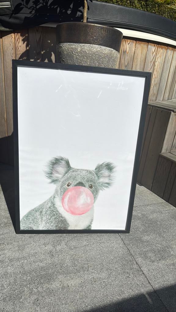 Zwarte fotolijst Ikea Ribba met poster koala, Ophalen, Zo goed als nieuw, Hout, 50 tot 75 cm