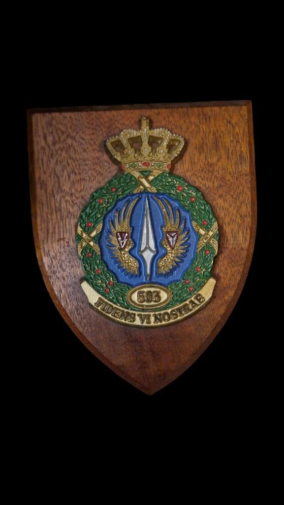 503 squadron schildje, Ophalen of Verzenden, Luchtmacht, Nederland, Embleem of Badge