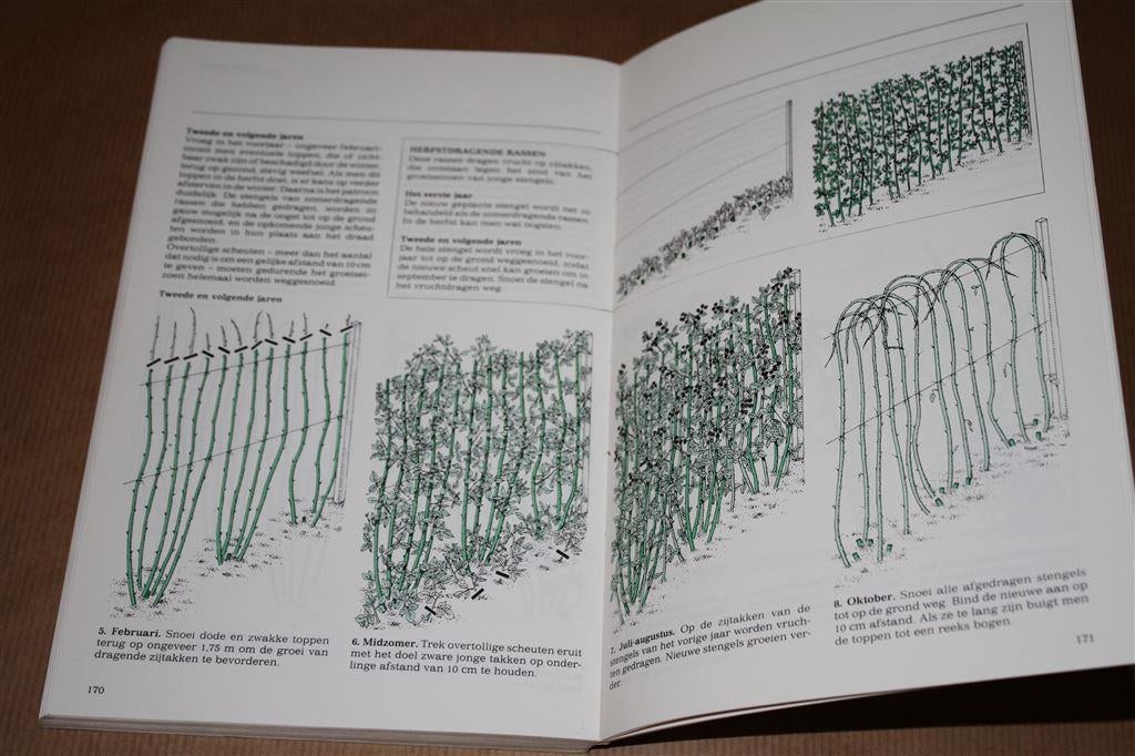 Groenboekerij: Stap-voor-stap-gids. Snoeien., Boeken, Ophalen of Verzenden, Gelezen