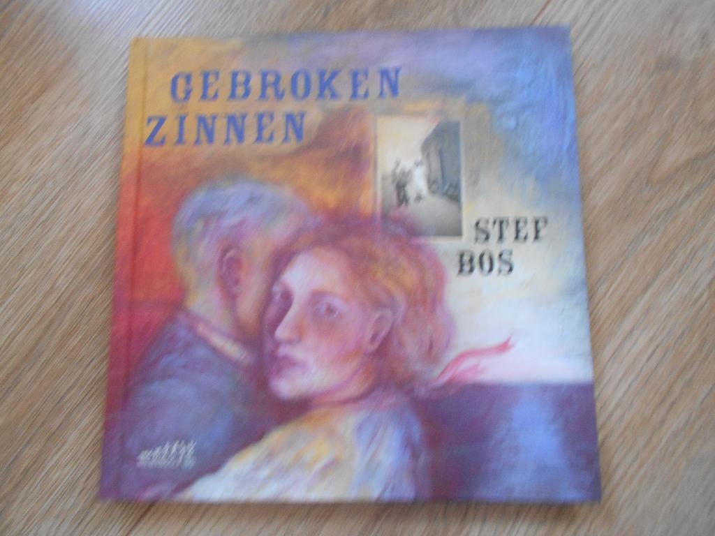 Stef Bos Gebroken zinnen, Ophalen of Verzenden, Zo goed als nieuw