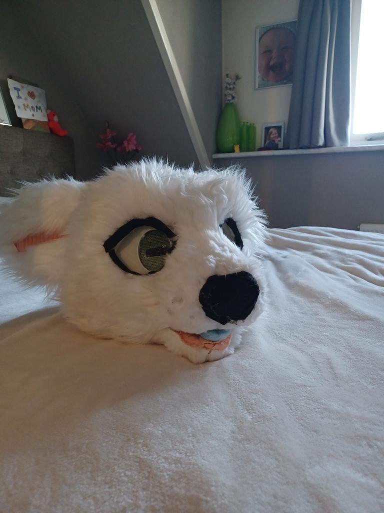 Furry hoofd + staart + bril €150,-, Hobby en Vrije tijd, Ophalen of Verzenden