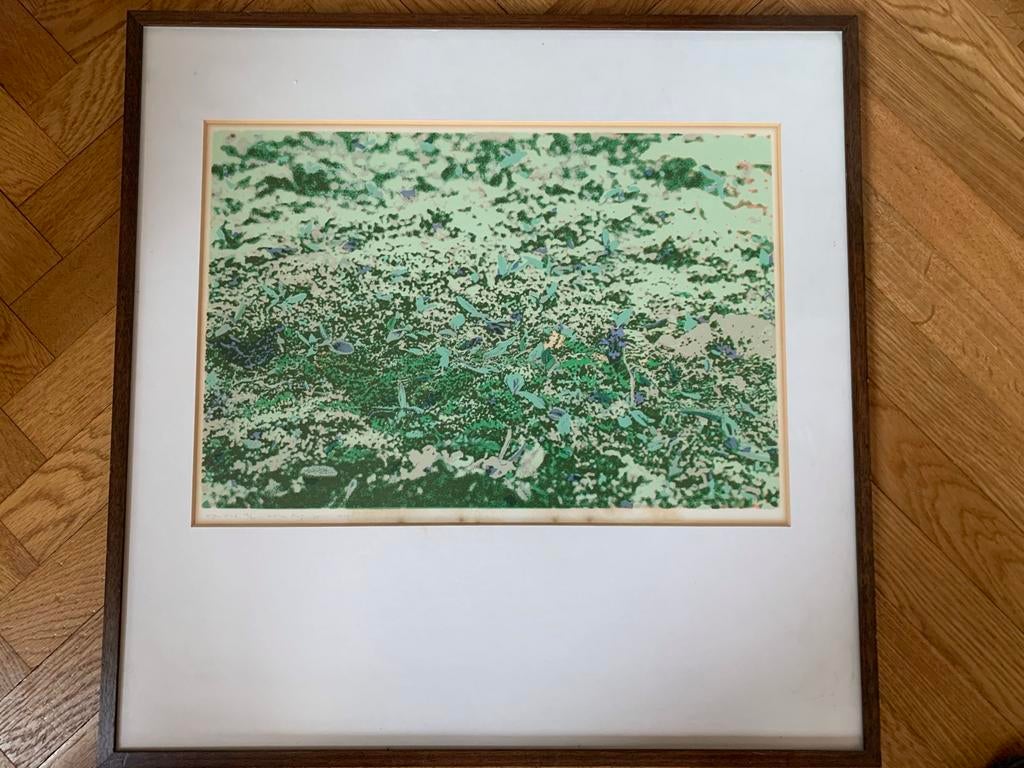 Ets Marjan Plug - MOS - Eigen Druk 16/90 - Ingelijst, Antiek en Kunst, Kunst | Litho's en Zeefdrukken, Ophalen of Verzenden