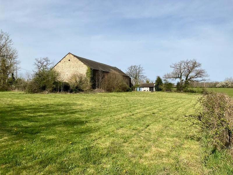 Gezocht: Omgeving Arnhem: te huur stal met weidegang, Dieren en Toebehoren, Stalling en Weidegang, Weidegang, 4 paarden of pony's of meer