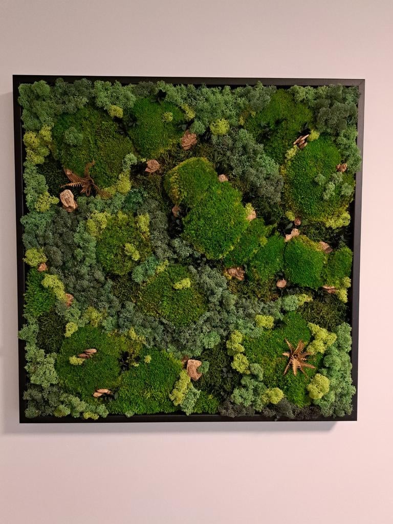 Mosschilderij 65 x 65 cm, Antiek en Kunst, Ophalen