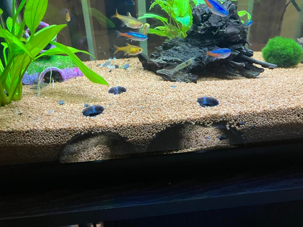 Ondergrondse grot voor aquarium, Ophalen of Verzenden, Nieuw, Sierelement