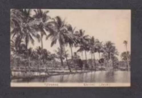 Indië Indonesië Garoet Garut Java Tjipas Palmbomen Visvijver, Verzamelen, Ophalen of Verzenden, Voor 1920, Ongelopen, Buiten Europa