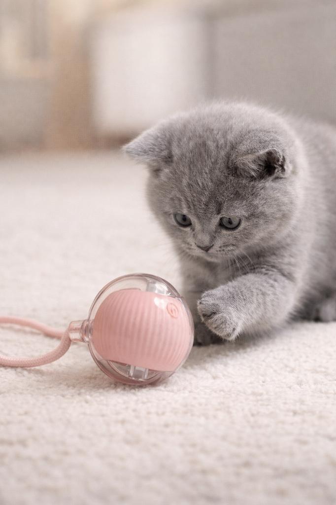 Automatische rollende kattenbal interactief kattenspeelgoed, Dieren en Toebehoren, Katten-accessoires, Ophalen of Verzenden, Nieuw