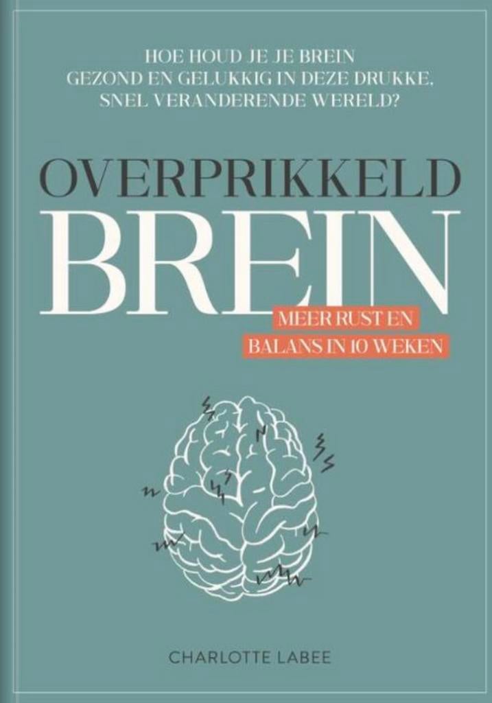 Overprikkeld brein, Charlotte Labee, Boeken, Charlotte Labee, Ophalen of Verzenden, Zo goed als nieuw, Overige onderwerpen