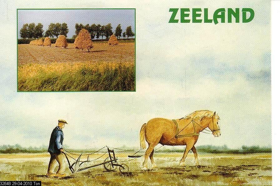 Ansichtkaart	Zeeland	Ploegende boer	Paard	2-luik, Verzenden, 1980 tot heden, Ongelopen, Zeeland