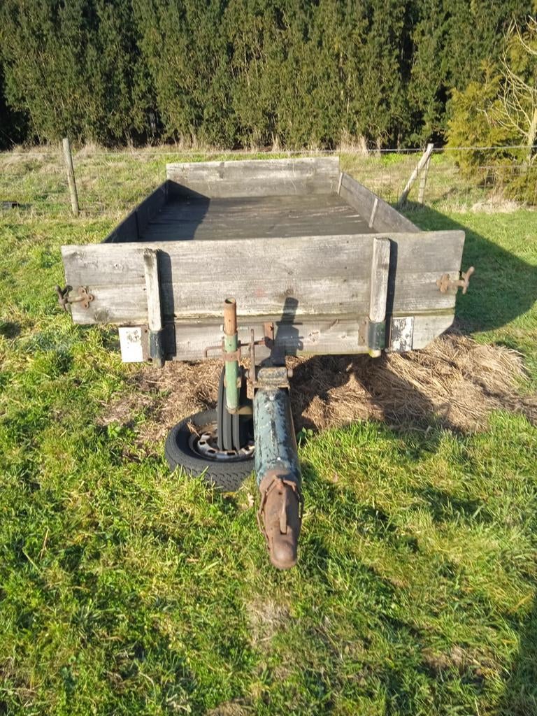 Aahanger, Meerdere dieren, Schaap