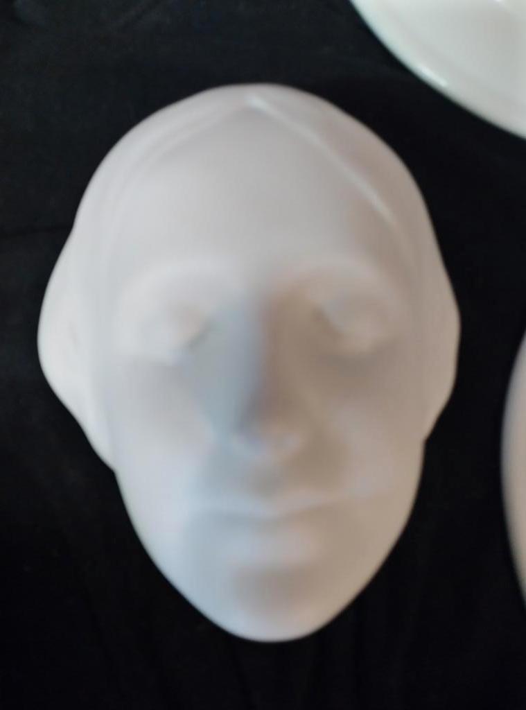 Meisje uit de Seine, Ophalen