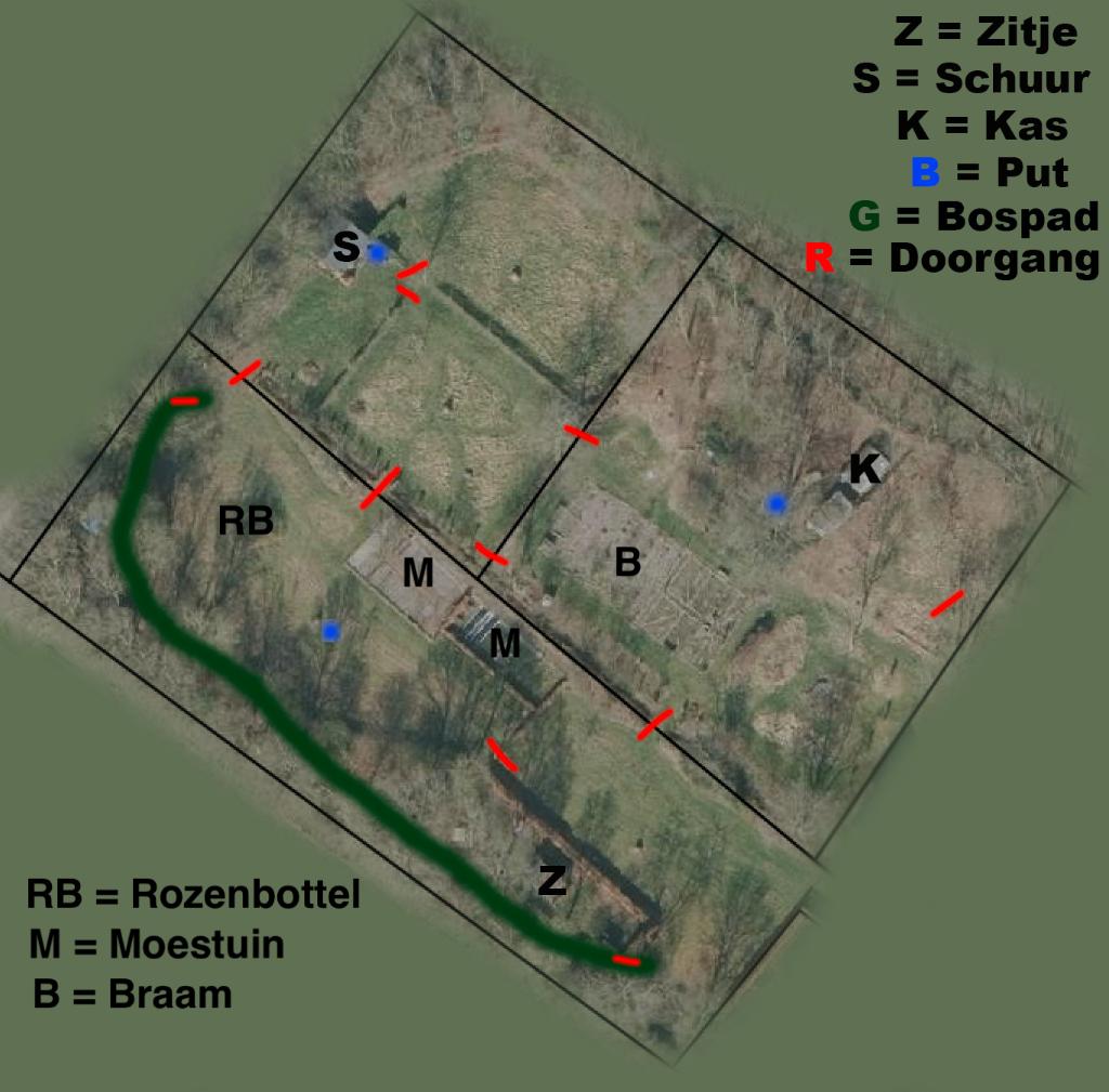 Paddock Paradise in Leende NB - Speelse Ruin gezocht, Weidegang, 1 paard of pony