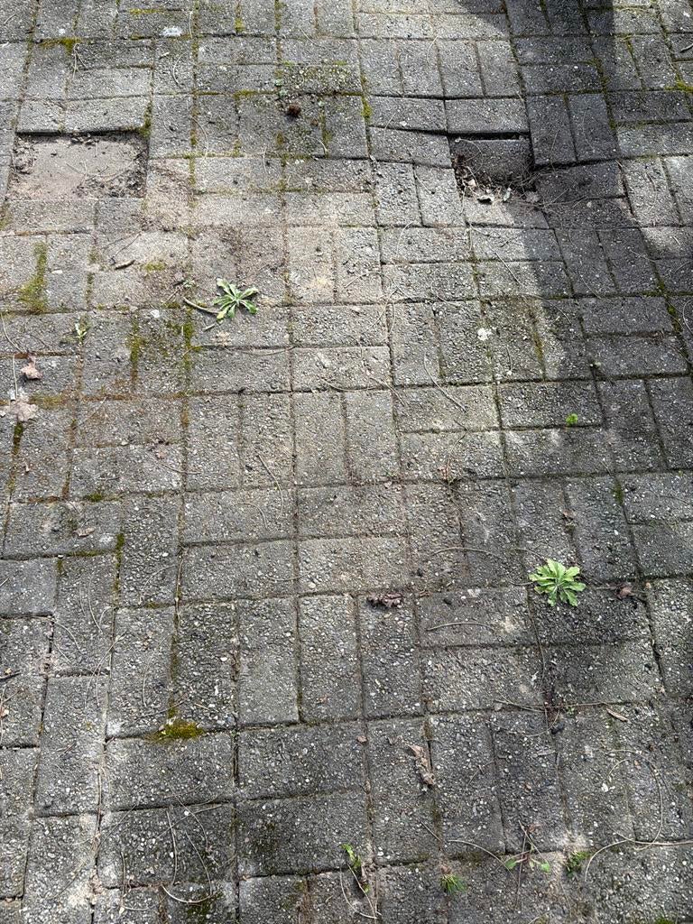 Gebruikte betonnen klinkers voor terras of oprit, Tuin en Terras, Tegels en Klinkers, Gebruikt, Klinkers, Ophalen of Verzenden