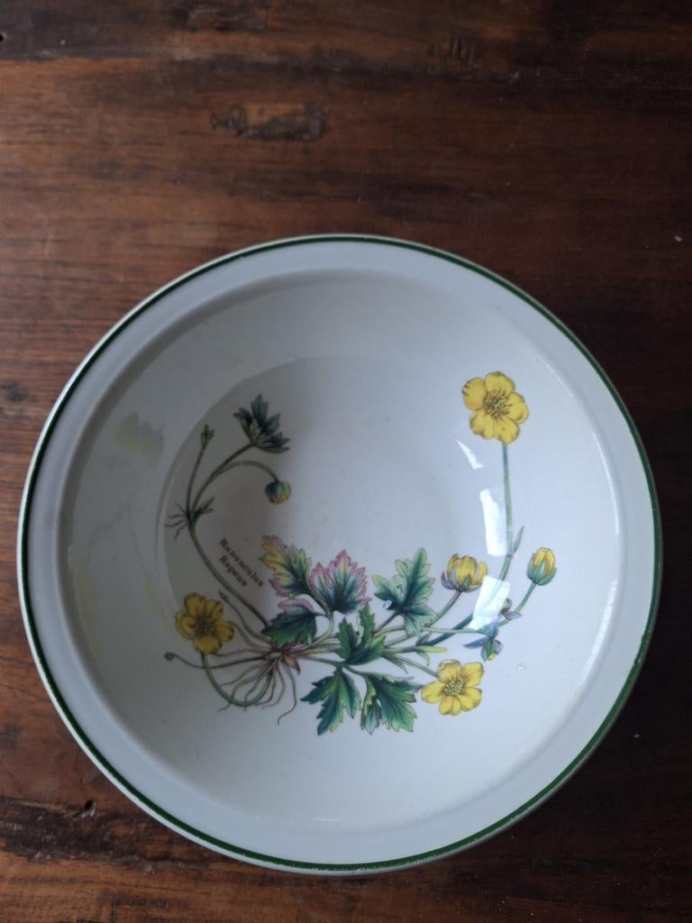 Florabunda wedgewood schaal, Antiek en Kunst, Antiek | Porselein, Ophalen of Verzenden