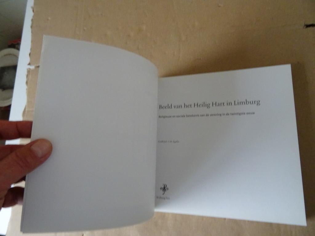 Godfried C. M. Egelie Beeld van het Heilig Hart in Limburg, Ophalen of Verzenden, Godfried C. M. Egelie, 20e eeuw of later, Gelezen