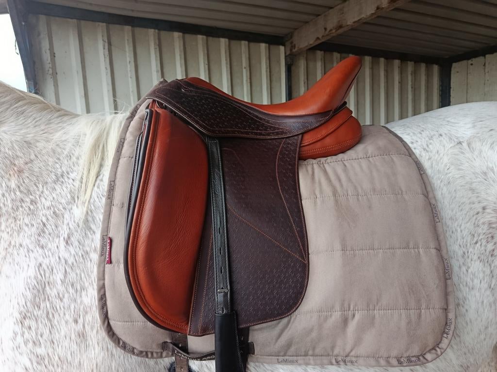 Stubben, kepler, boomloos/leren boom, albion, Ophalen of Verzenden, Zo goed als nieuw, Dressuur