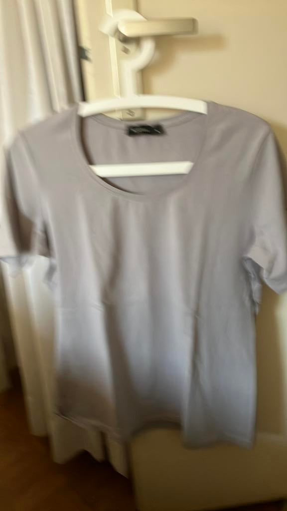 Grijs witteveen shirt maat L, Kleding | Dames, T-shirts, Maat 42/44 (L), Ophalen of Verzenden, Zo goed als nieuw, Korte mouw