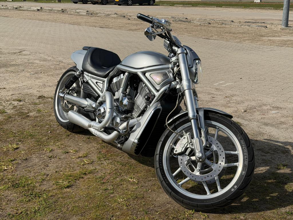 Harley Davidson Night rod Special. 10 years Edition, Motoren, Motoren | Harley-Davidson, 2 cilinders, Chopper, Gebruikt, Particulier