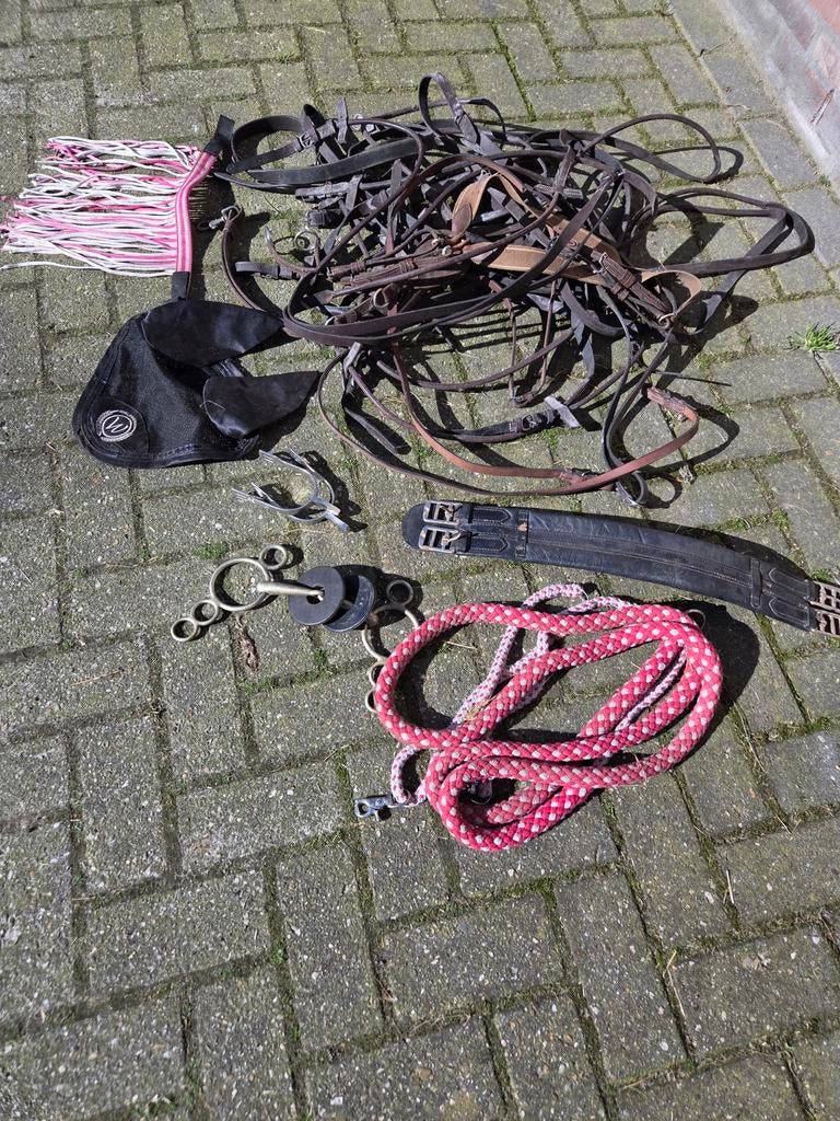 Partij paardenspullen, Dieren en Toebehoren, Paarden en Pony's | Overige Paardenspullen, Gebruikt, Overige soorten, Ophalen of Verzenden