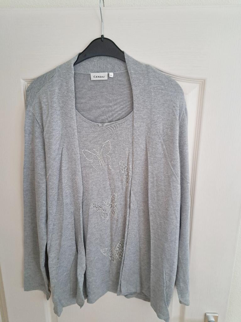 Grijs dames vest + shirt met zilveren vlinders maat 40 42 L, Ophalen of Verzenden, Zo goed als nieuw, Maat 38/40 (M), Grijs