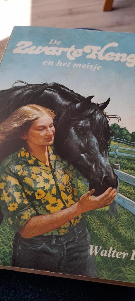 De Zwarte Hengst en het Meisje - Walter Farley, Ophalen of Verzenden, Gelezen, Walter Farley, Fictie algemeen