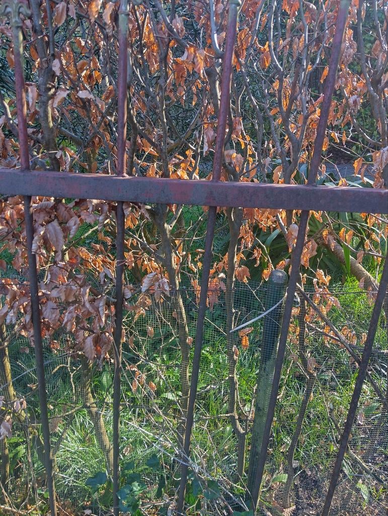 Oud ijzeren hekwerk, Ophalen, Gebruikt, IJzer, Sierhekwerk