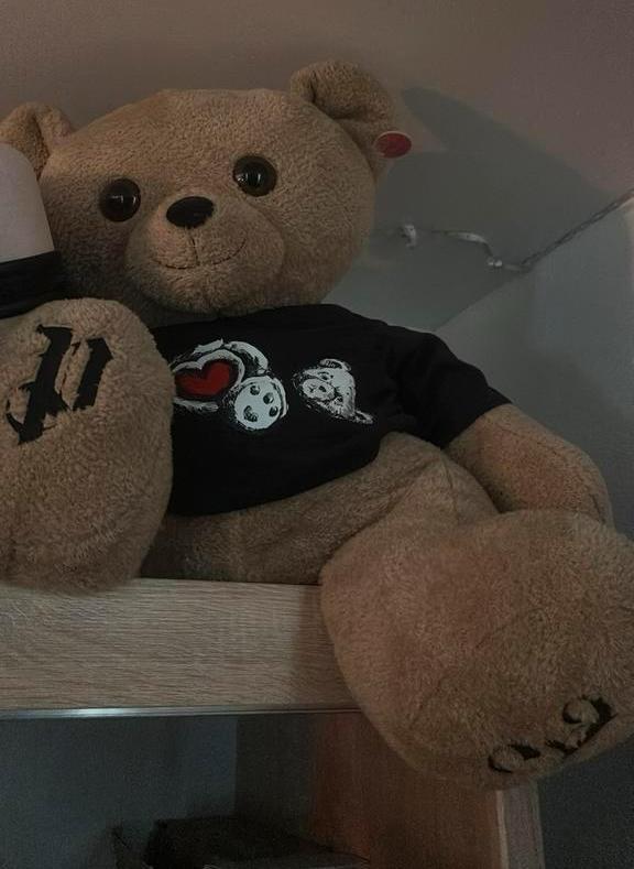 Teddybeer xl, exclusieve mascotte van Palm Angels 🧸, Ophalen of Verzenden, Nieuw, Stoffen beer, Overige merken