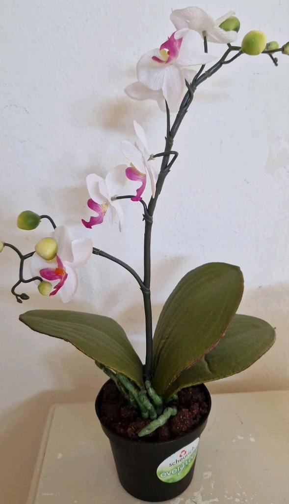 Kunst orchidee, Huis en Inrichting, Kamerplanten, Ophalen of Verzenden, Halfschaduw, Minder dan 100 cm