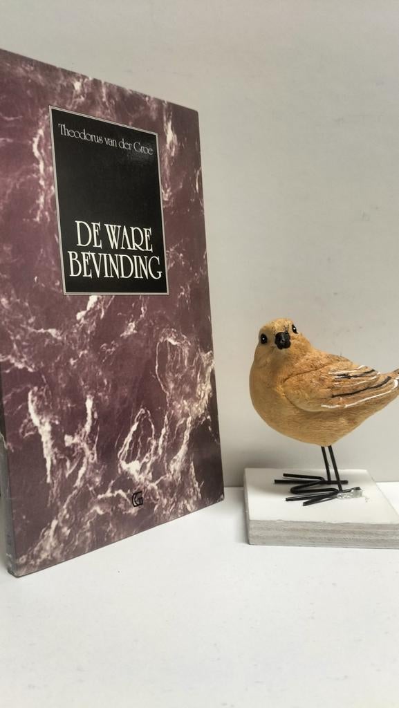 Groe, Th. Van der; De ware bevinding, Ophalen of Verzenden, Gelezen, Christendom | Protestants