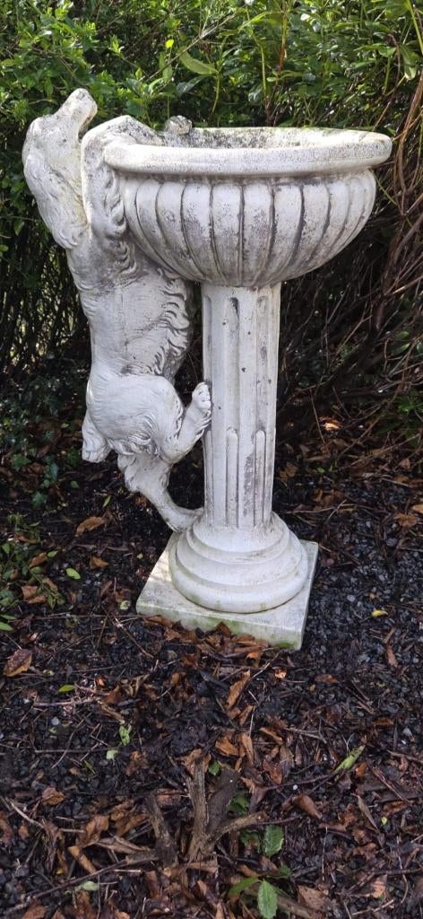 Fontein van Demmerik, Dieren en Toebehoren, 6 jaar of ouder, Golden retriever, Geslacht onbekend, Eén hond