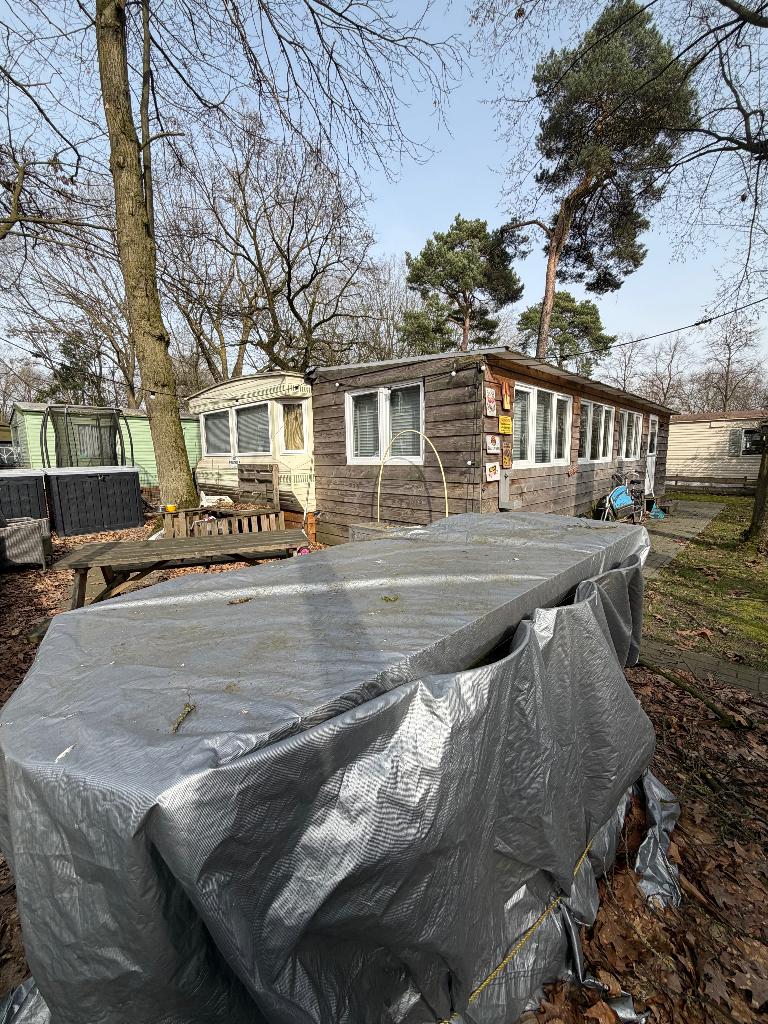 Ruim chalet op Camping Beringerzand, Meer dan 6