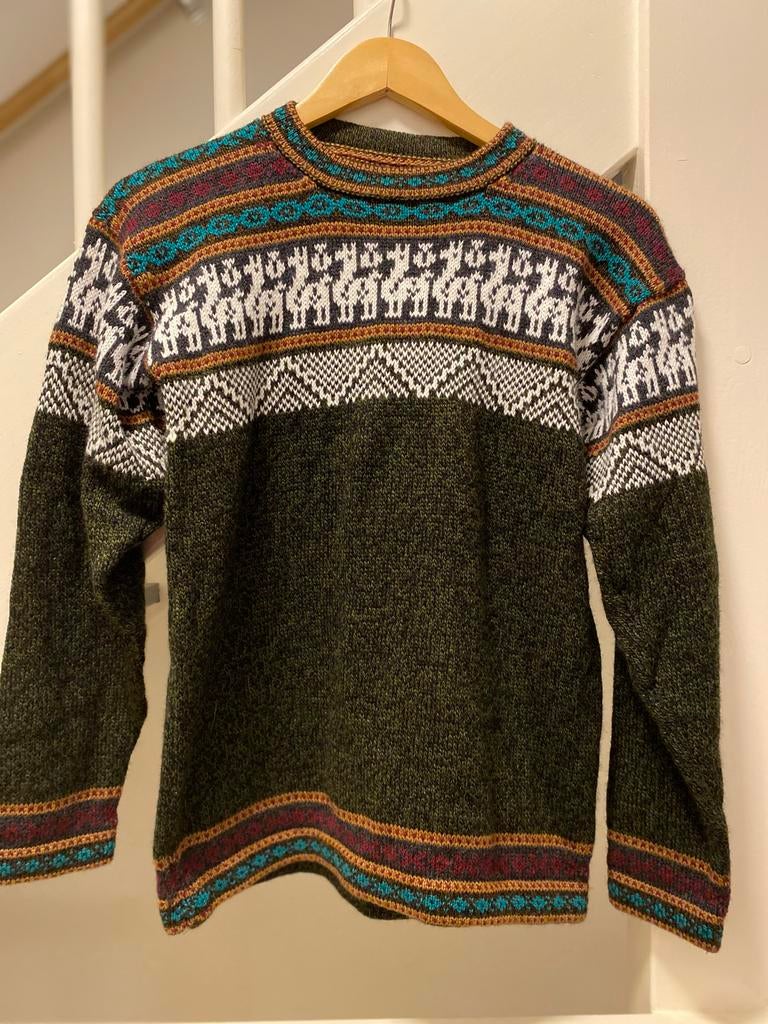 Handgemaakte Peruaanse Trui met Lama Patroon, Ophalen of Verzenden, Gedragen, Maat 38/40 (M), Groen