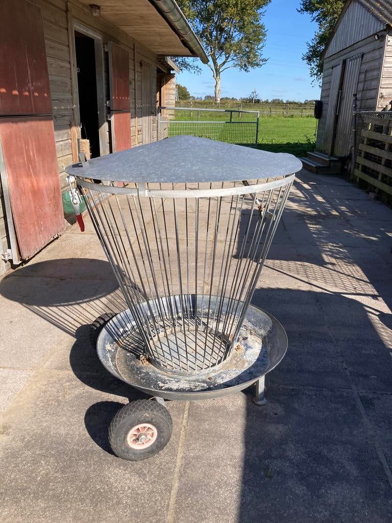 Hooiruif, Meerdere dieren, Schaap, 6 jaar of ouder