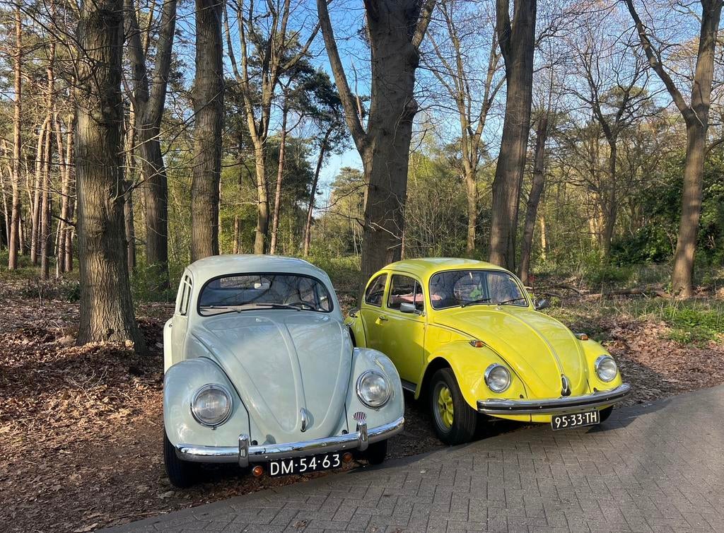 Volkswagen kever voor trouw, gala en andere ritten, Ophalen of Verzenden