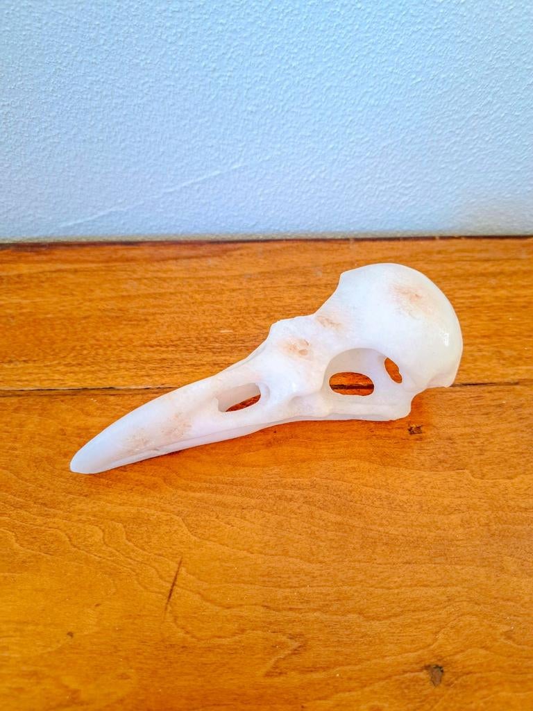 Aragoniet Raven Schedel - Uniek Decoratieobject, Ophalen of Verzenden, Mineraal