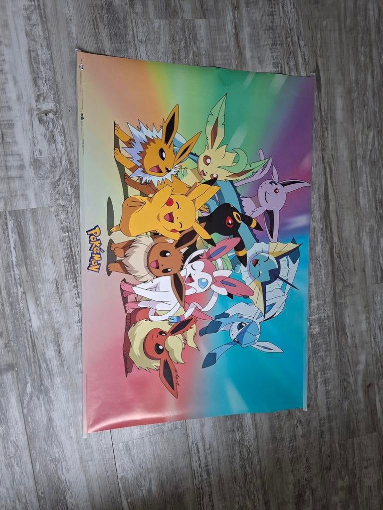 Pokemon poster, Verzamelen, Ophalen, A1 t/m A3, Film en Tv
