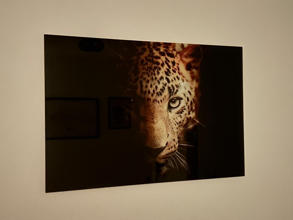 Glasschilderij 120x80, Ophalen, Zo goed als nieuw, Schilderij, 100 tot 125 cm