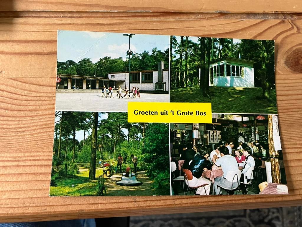 Ansichtkaart Driebergen Doorn, het grote bos (1), Ophalen of Verzenden, Utrecht