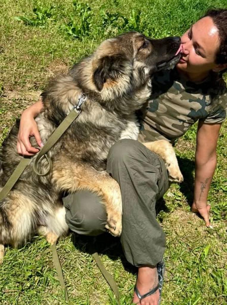 Help Pets Adoptie Herder en mix uit Oekraine, Dieren en Toebehoren, Particulier, Overige rassen, Buitenland, Parvo