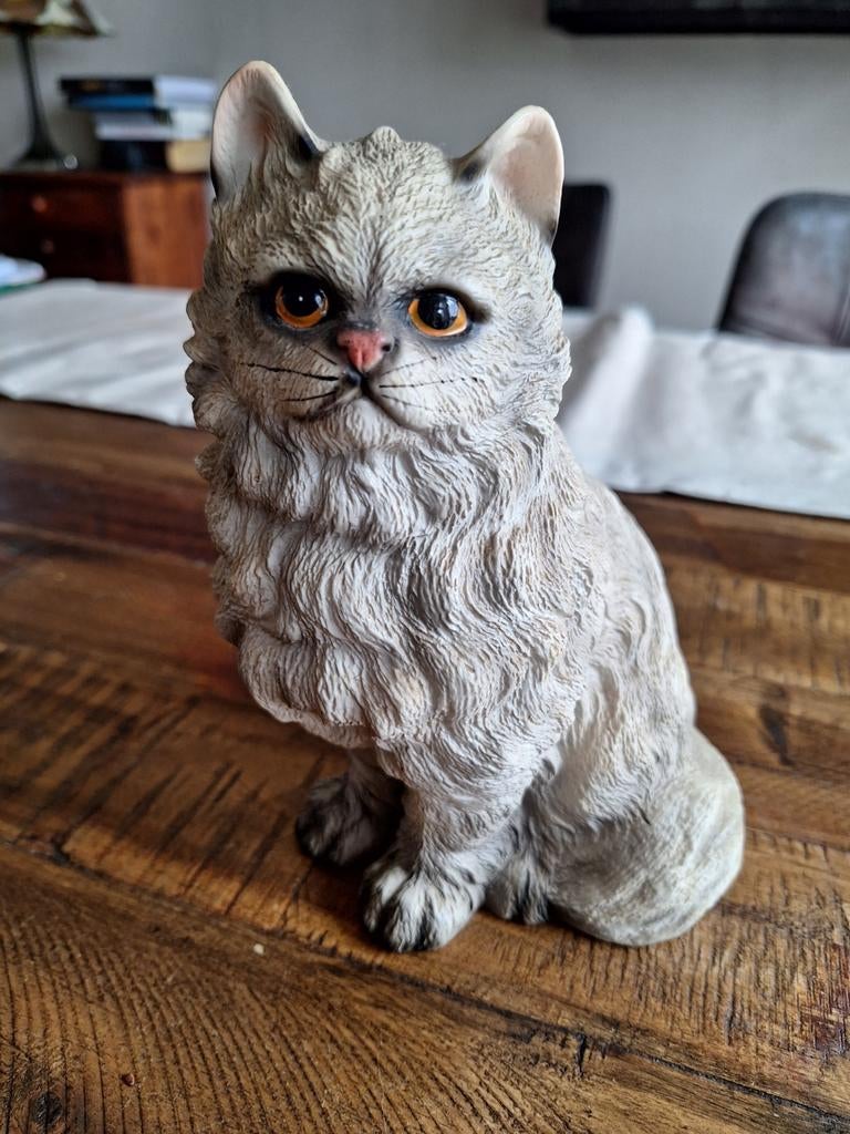 Vaga international kat, Ophalen of Verzenden