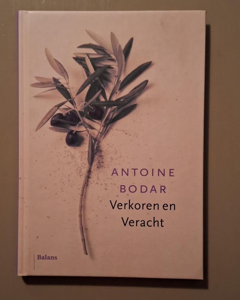 Antoine Bodar - Verkoren en veracht, Boeken, Godsdienst en Theologie, Zo goed als nieuw, Jodendom, Ophalen of Verzenden