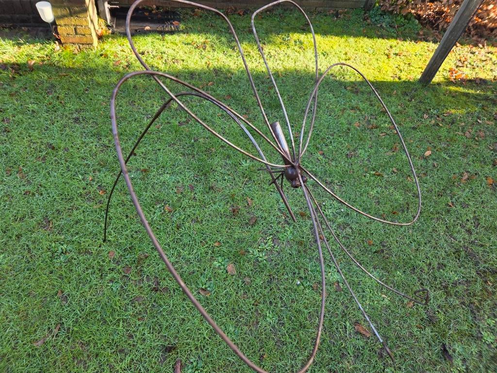 Sier vlinder voor boven vijver, Ophalen, Gebruikt