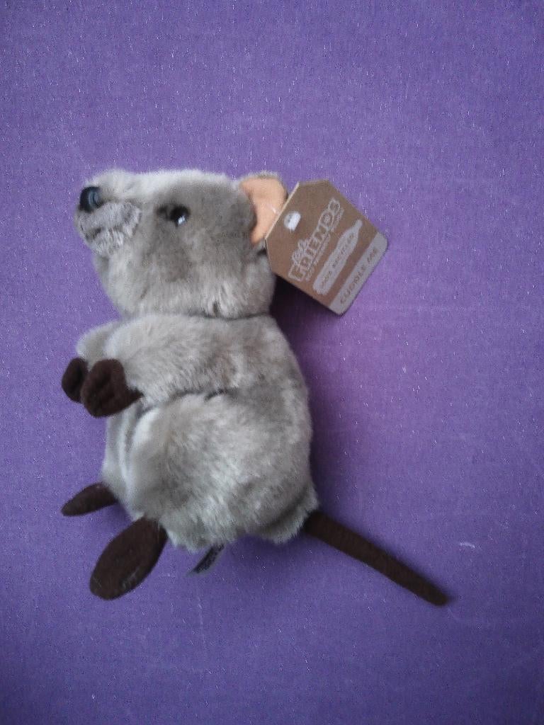 LIL FRIENDS BY KORIMCO Knuffel OTTER **Nieuw met Kaartje**, Ophalen of Verzenden, Nieuw, Overige typen