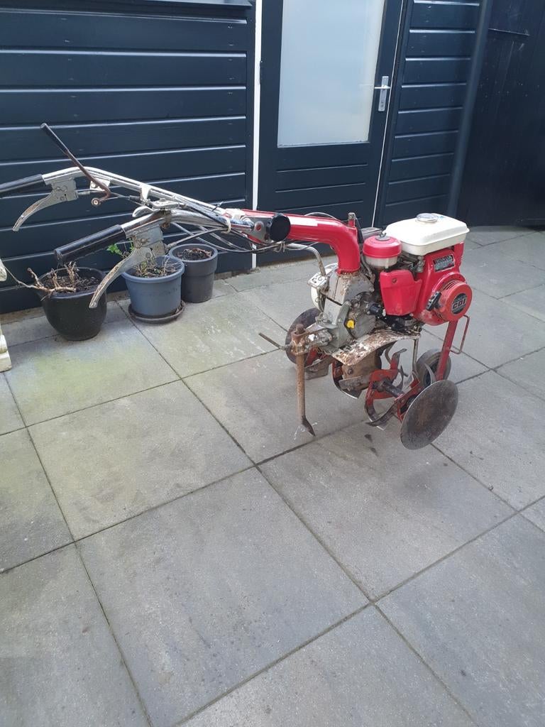 Tuinfrees, Ophalen of Verzenden