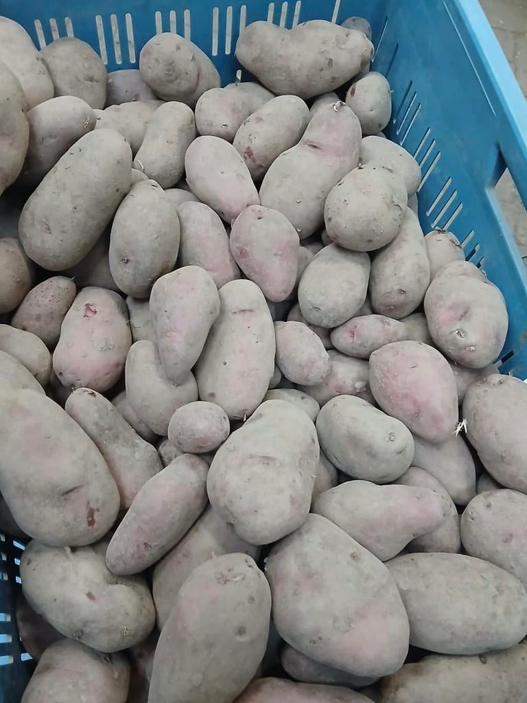400kg Roseval aardappelen, Ophalen, Vee