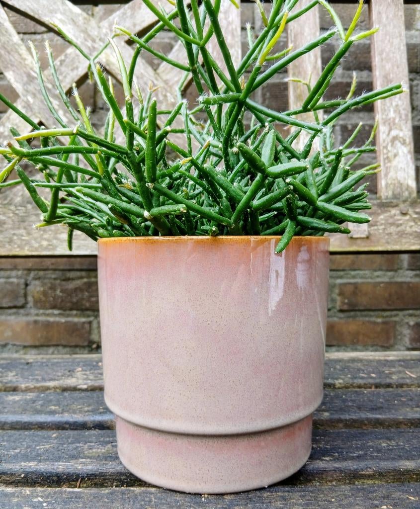 Keramieken bloempot van Mica Decorations, Ophalen of Verzenden