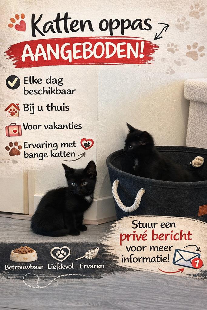 Aangeboden katten oppas, Dieren en Toebehoren, Ophalen
